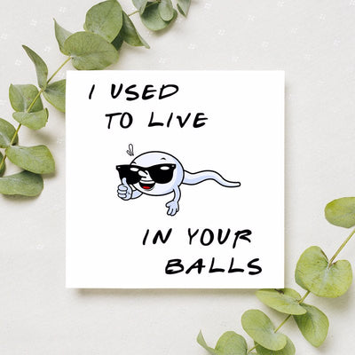 I used to live in your balls